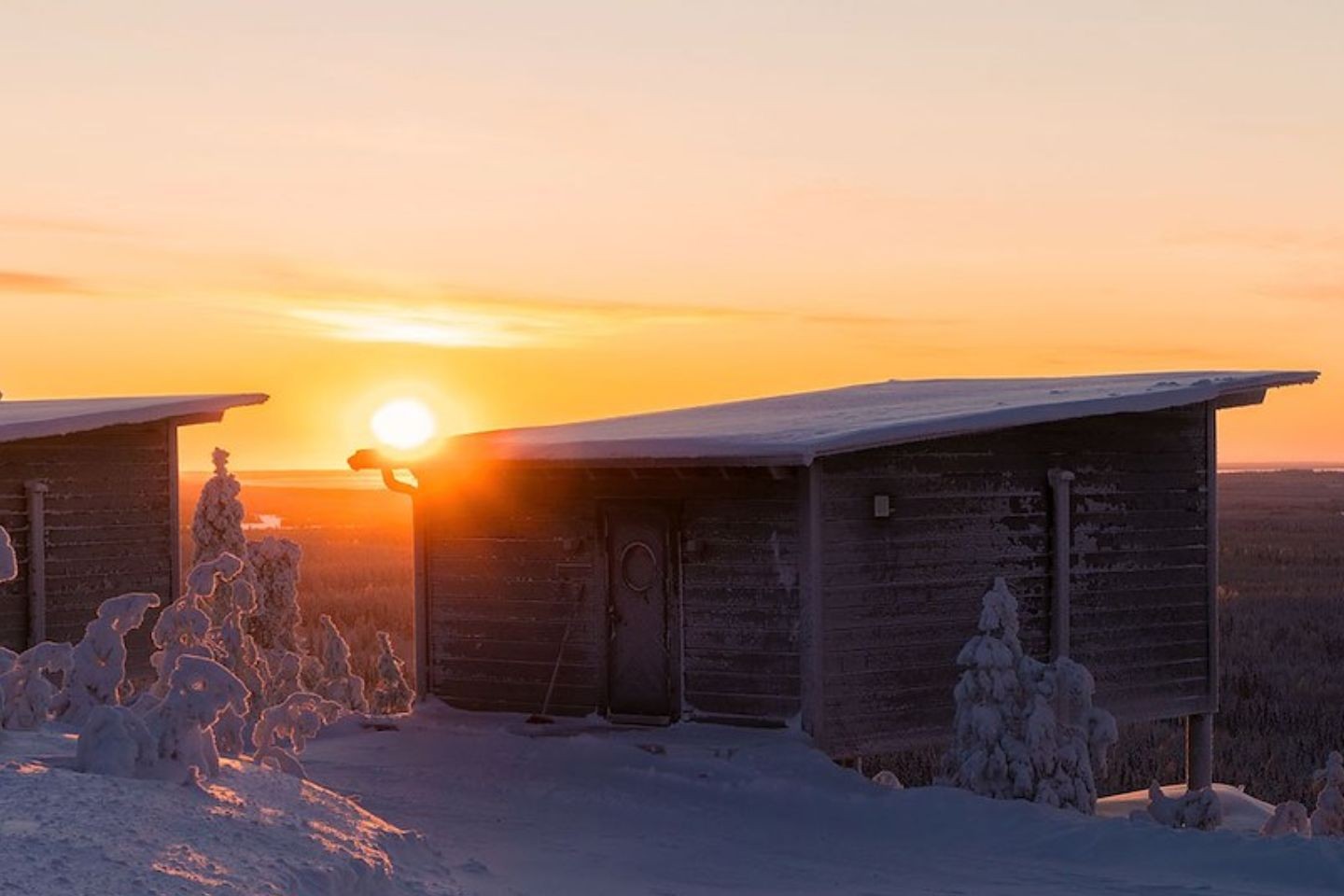 Afbeelding van Arctic Giant Birdhouse