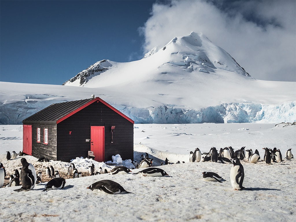 Afbeelding van Basecamp Antarctica Ortelius Oceanwide Expeditions 5