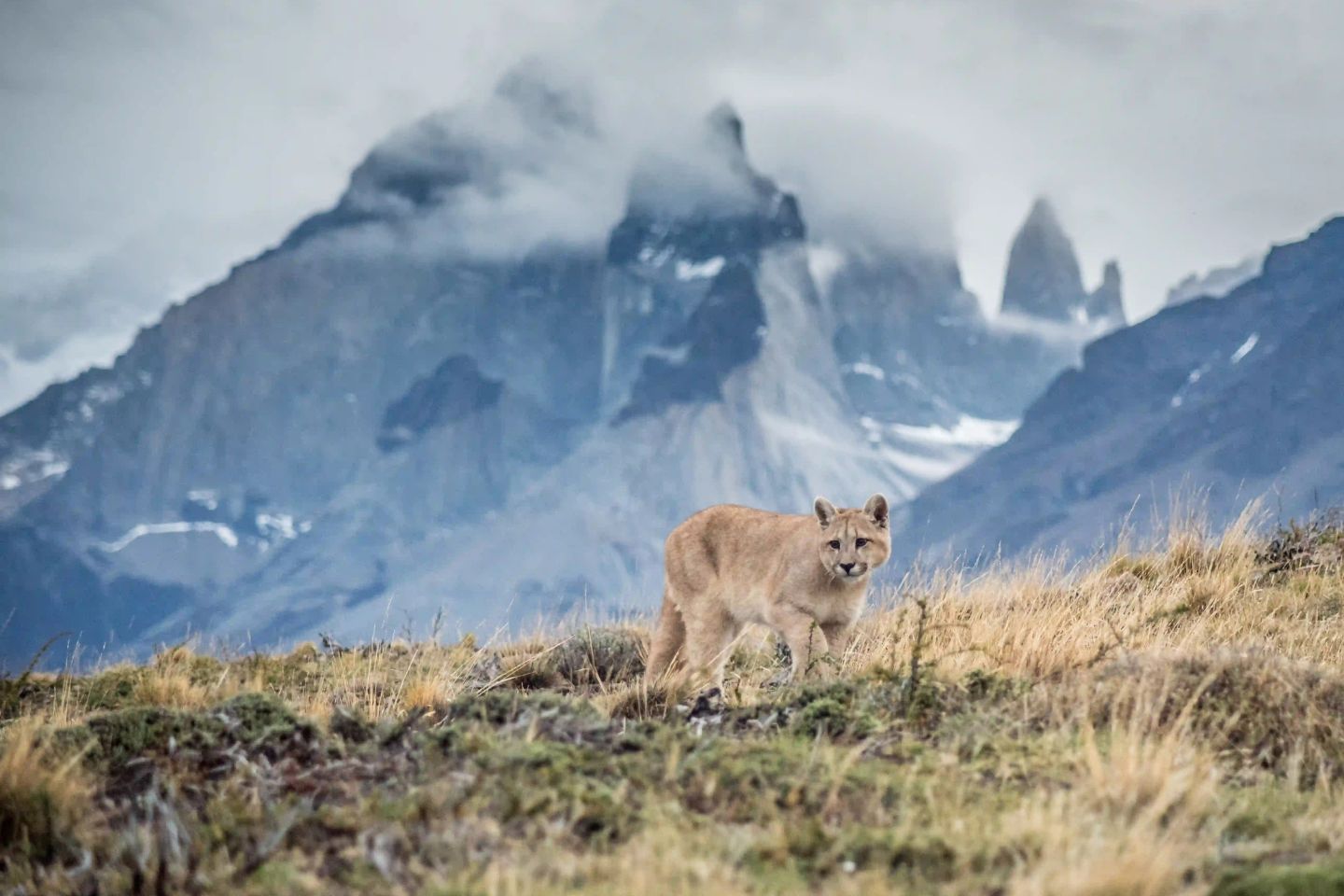 Chili, Torres del Paine, Eco camp