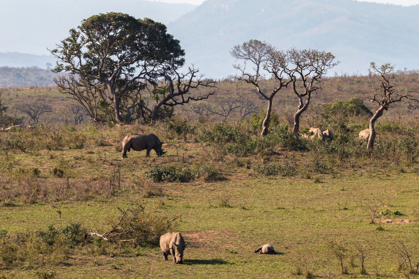 Richards Baai, Zuid Afrika