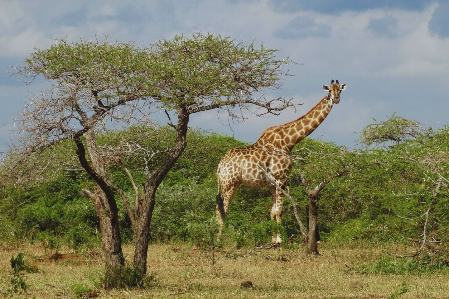 Richards Baai, Zuid Afrika