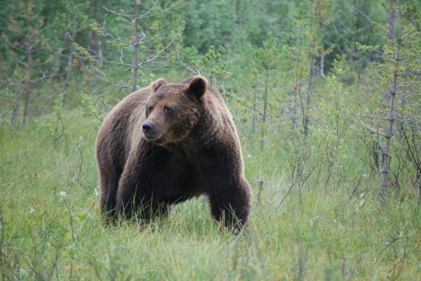 Ruhtinansalmi, Hossan Lomakeskus