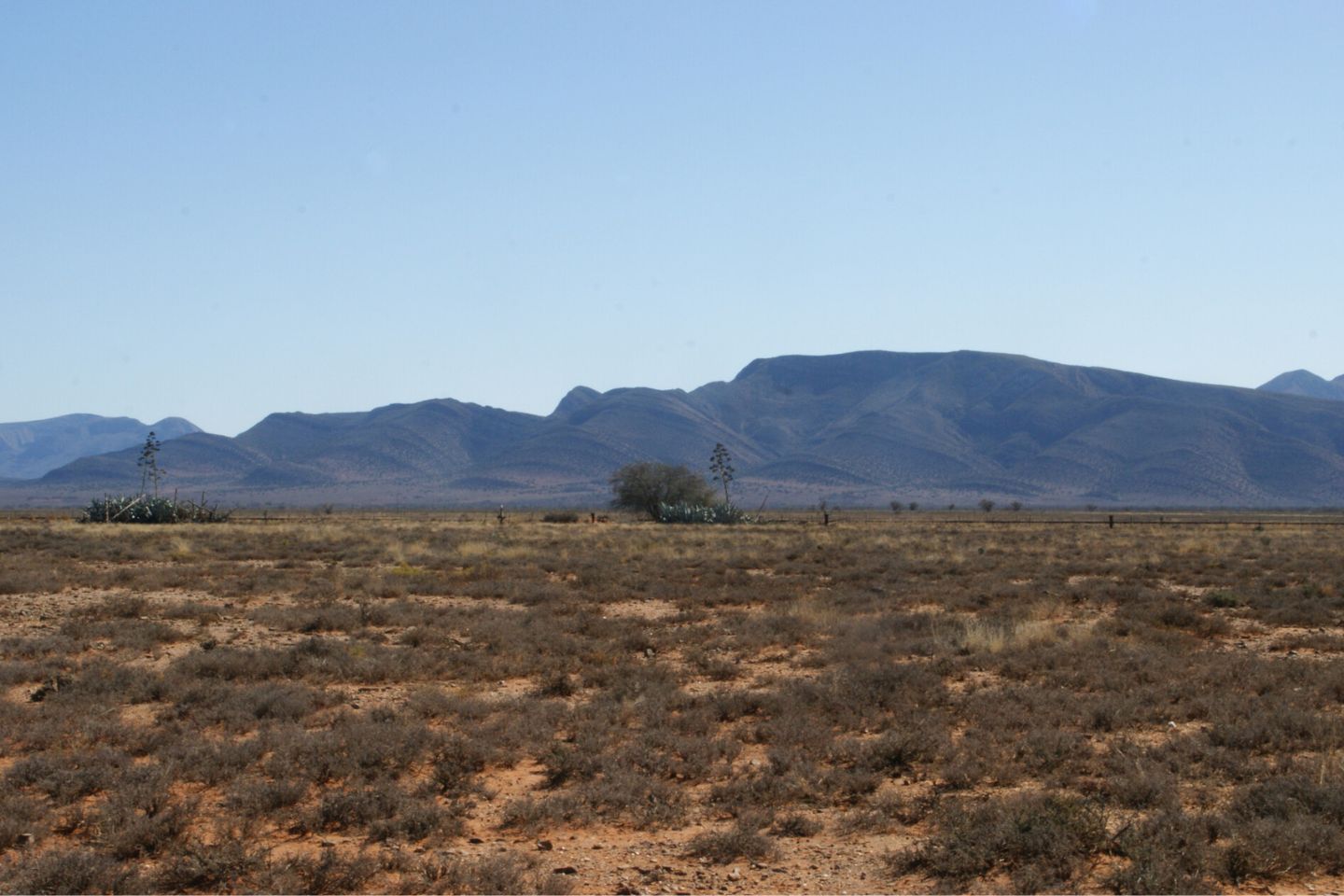 Mosselbaai, Zuid Afrika