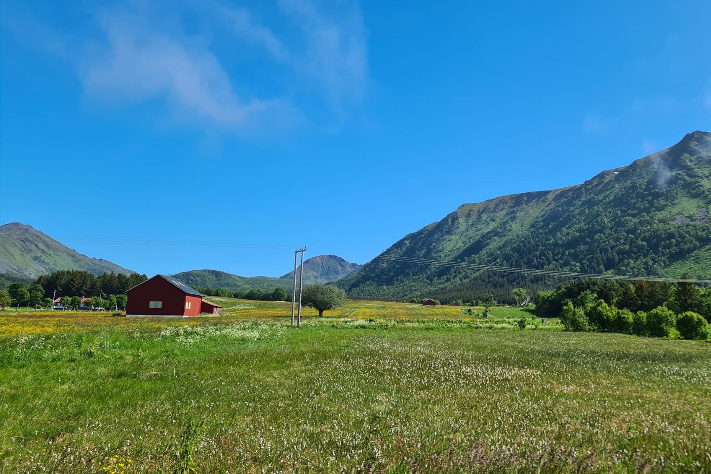Bø Andøya, Marmelkroken