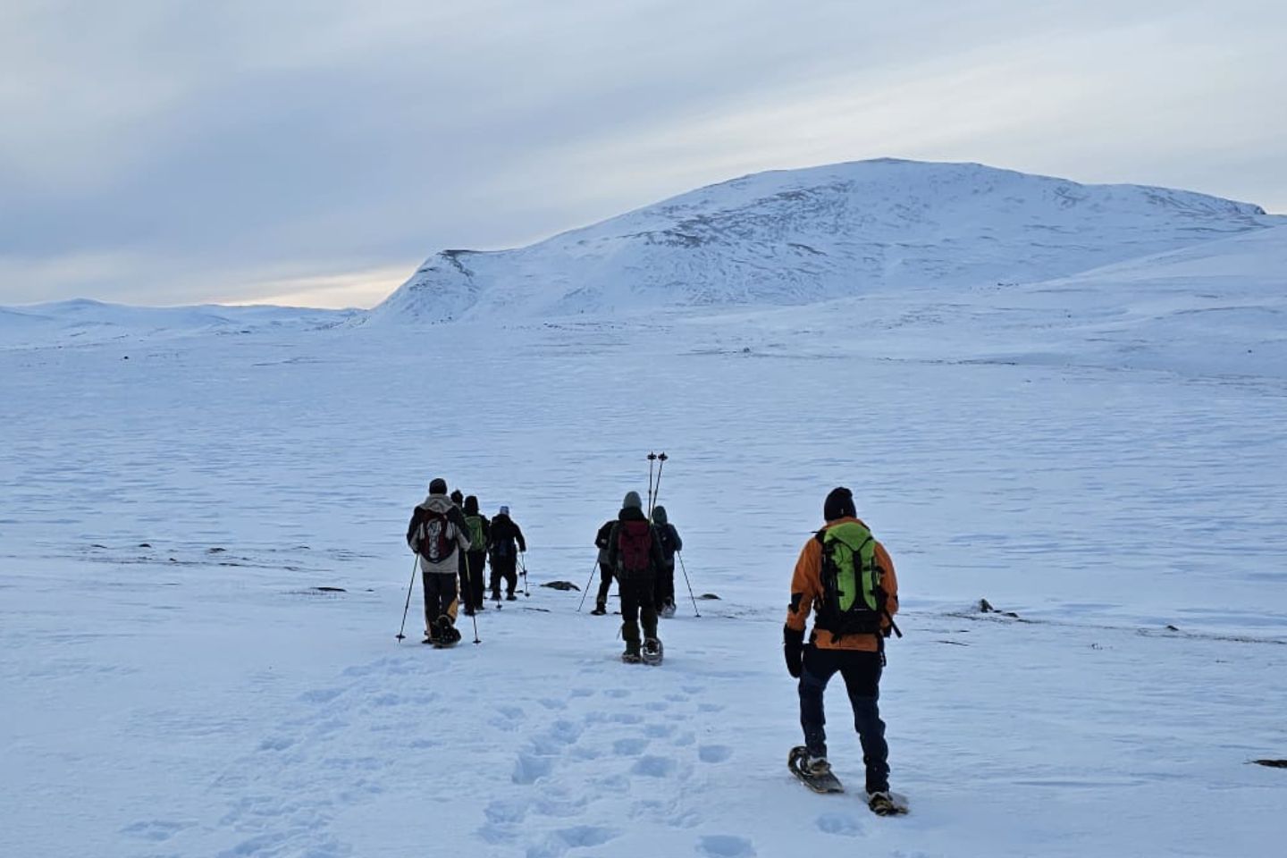 Afbeelding van Rondane River Lodge Sneeuwschoenwandelen Muskusossafari