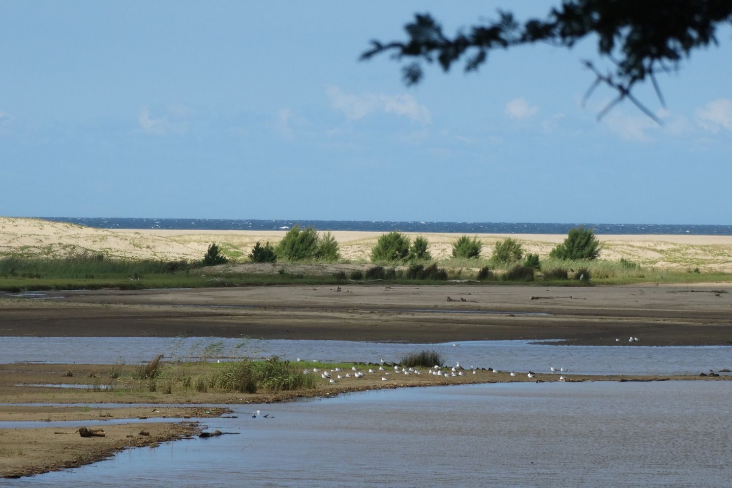 Richards Baai, Zuid Afrika