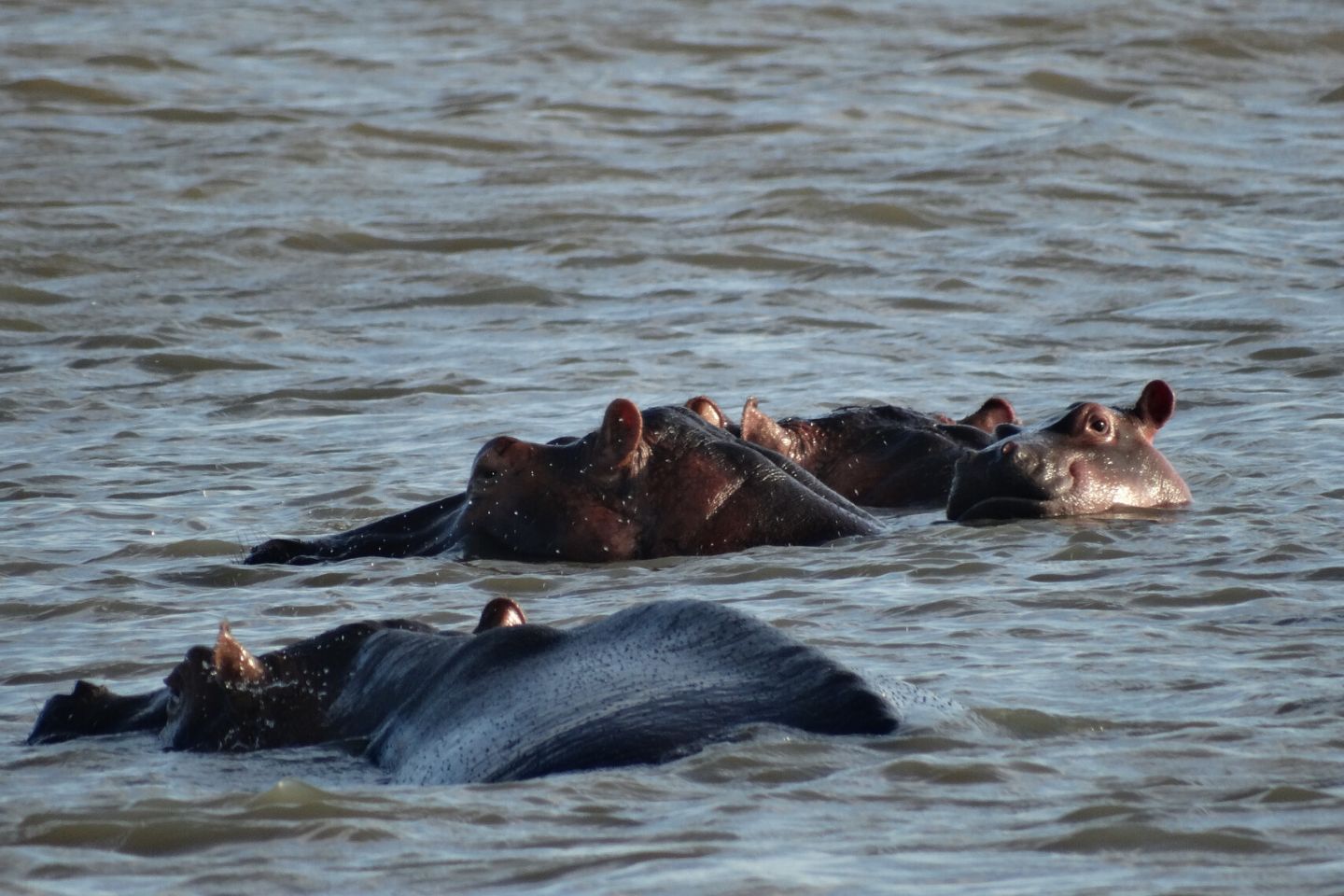 Richards Baai, Zuid Afrika