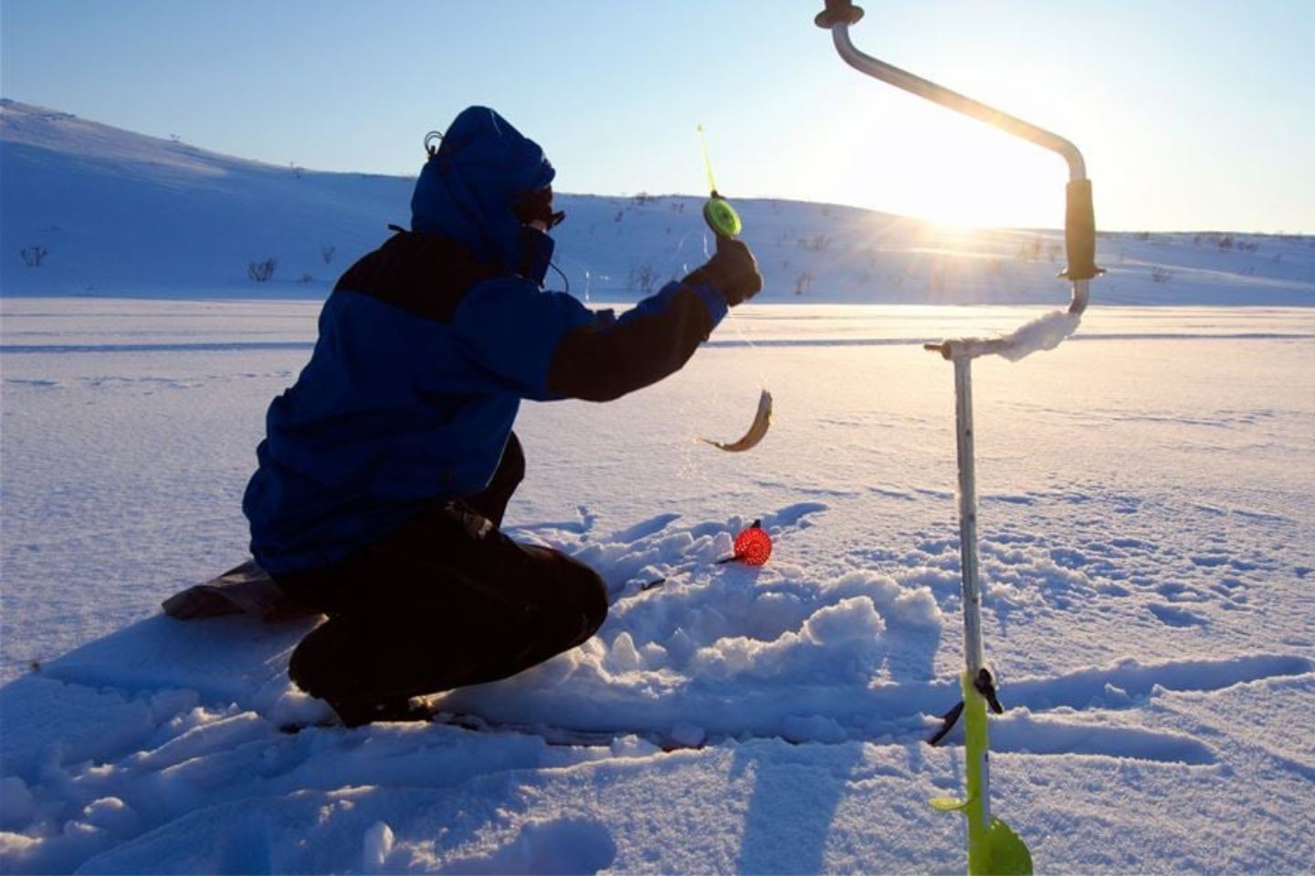 Afbeelding van Tromso Best Arctic Icefishing