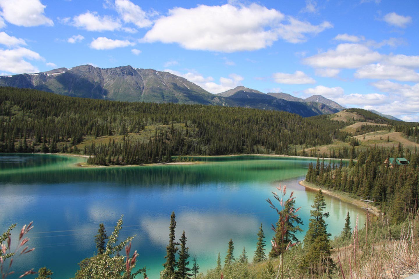 Afbeelding van Alaska Langs De Klondike Highway Jonneke Van Eijsden