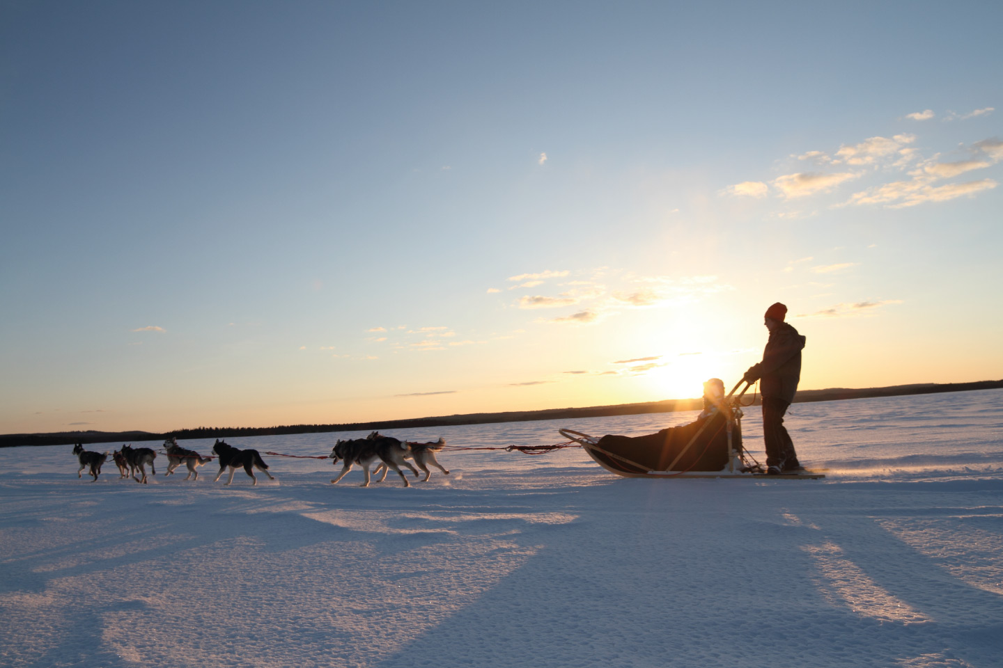 Vuokatti - husky safari