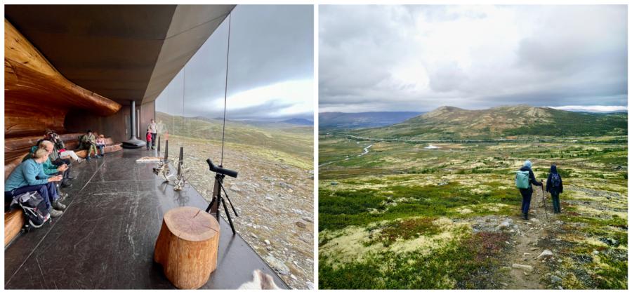 Dovrefjell Snohetta