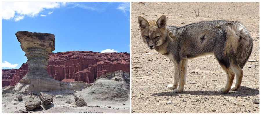 Ischigualasto Argentini%C3%AB