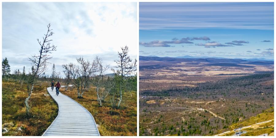 Lofsdalen Mountainbiken