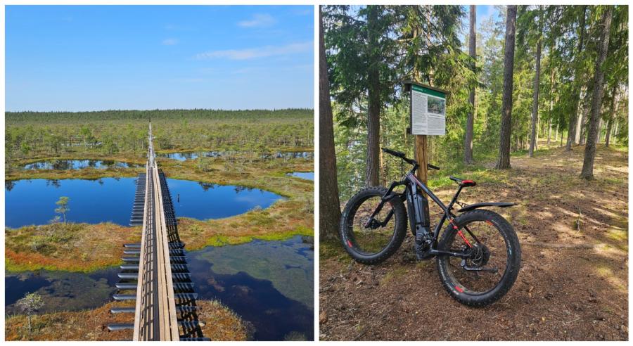 Natuur Activiteiten Estland