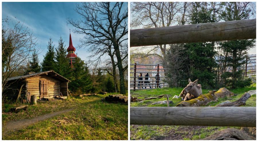 Skansen Stockholm