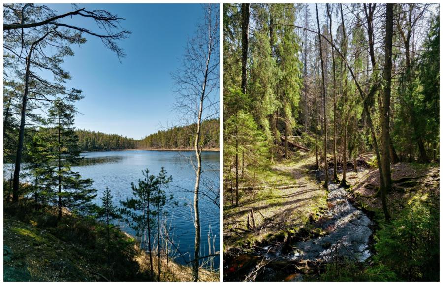 Tyresta National Park Stockholm