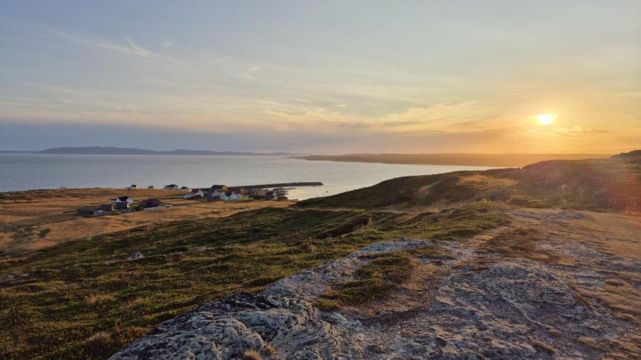 Varanger Bird Watching