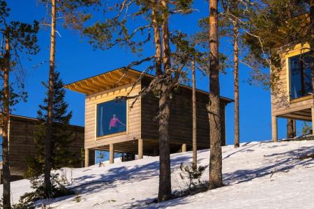 Arctic Giant Birdhouse