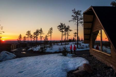 Arctic Giant Birdhouse