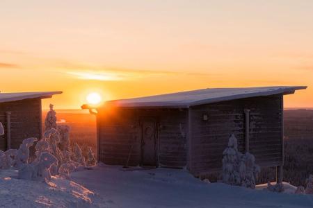 Arctic Giant Birdhouse