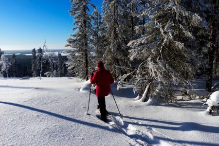 Arctic Giant Sneeuwschoenwandelen