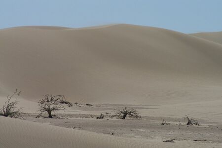 Duinen Langs De Kust Van Peninsula Vald%C3%A9s Ad Laanen Cape