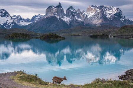 Eco Camp Torres Del Paine Chili 