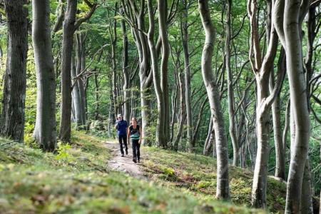 Hotelrondreis Zuid Zweden Hedvig Natuur