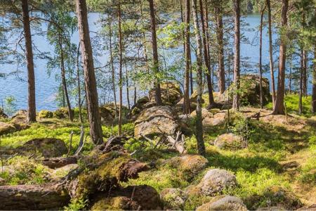 Hotelrondreis Zuid Zweden Hedvig Natuur