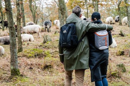 Hotelrondreis Zuid Zweden Hedvig Natuur