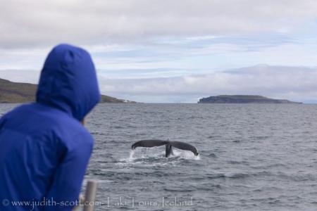 Judith Scott Whale Watching Laki Tours