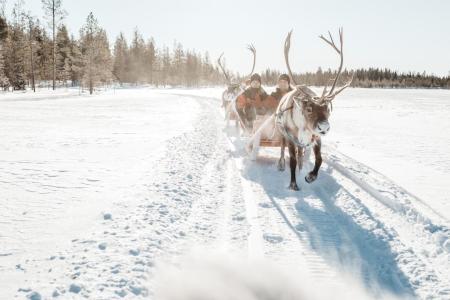 Lapland Safaris Rovaniemi Santaclaus Village 5