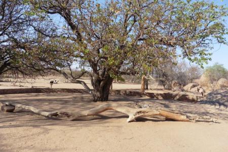 Madisa Camp Campsite