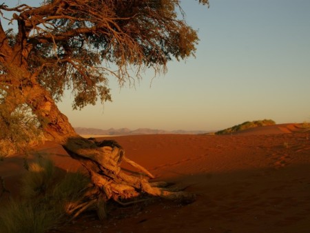 Namib Desert Lodge 9067