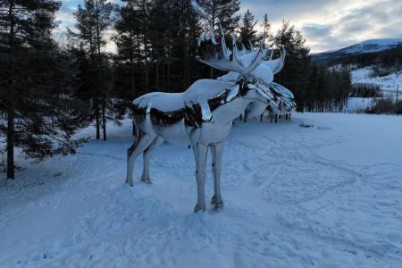 Rondane River Lodge Zilveren Eland