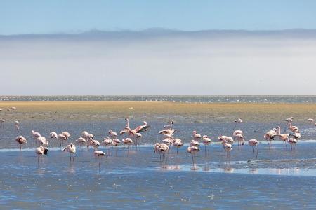 SH Vega   Namib Desert Adventure   Cape Town To Luanda   28 03 2023   1