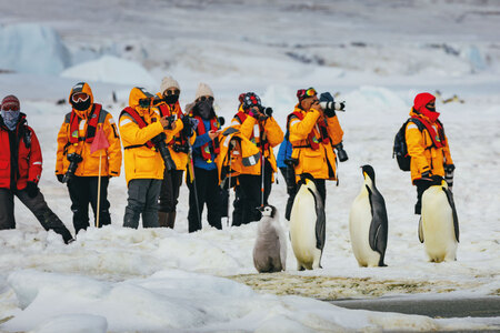 Snow Hill David Merron Passengers With Penguins