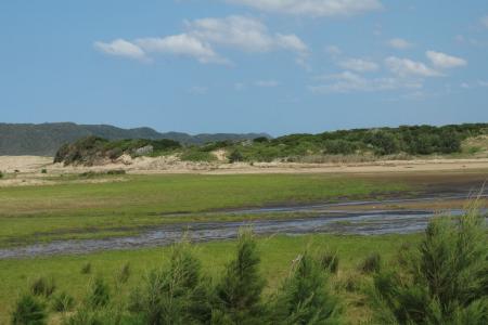 St Lucia Cape Tracks