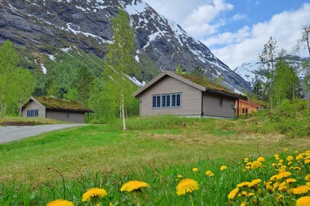 Stardalenhyttegrend Isolatedcabin