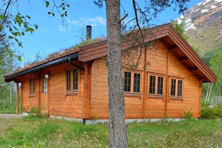 Stardalenhyttegrend Logcabin