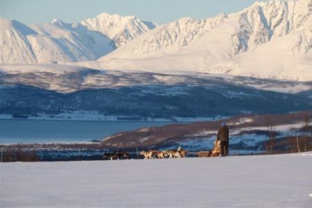 Tromso Best Arctic Dogsledding Hondensledetocht 3