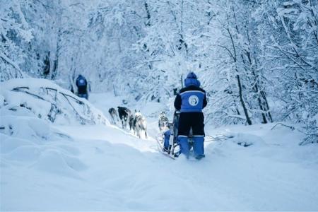 Tromso Best Arctic Dogsledding Hondensledetocht 4