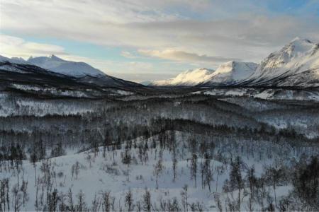 Tromso Best Arctic Dogsledding Hondensledetocht 6