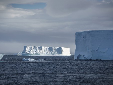 Walvis Spotten Antarctica Oceanwide Expeditions