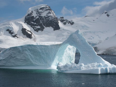 Walvis Spotten Antarctica Oceanwide Expeditions