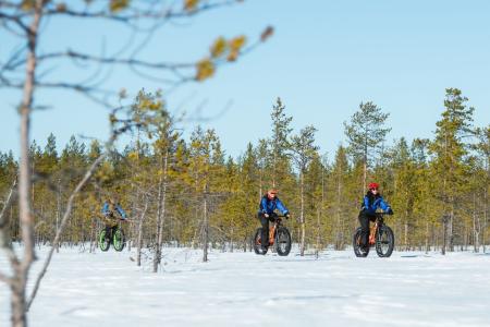 Fatbike Apukka Resort Rovaniemi 3