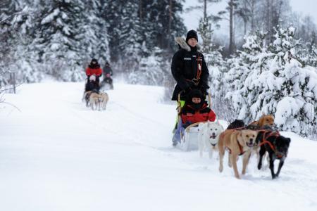 Husky Vuokatti Cape