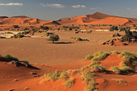 Nosun Namibie Cape Tracks 4