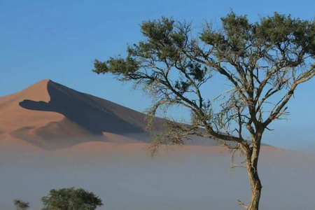 Nosun Namibie Cape Tracks 5