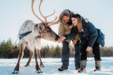 Rendiersledetocht Apukka Resort Rovaniemi 10